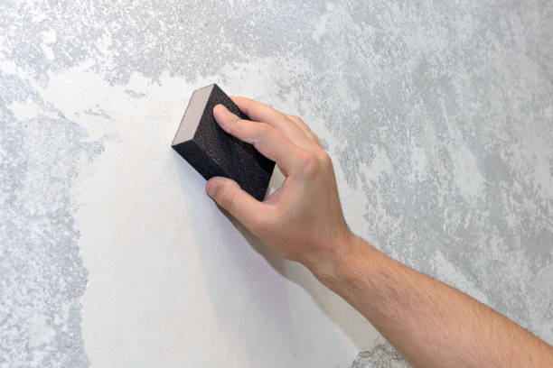 Best Mold Damage Restoration  in Bay Minette, AL