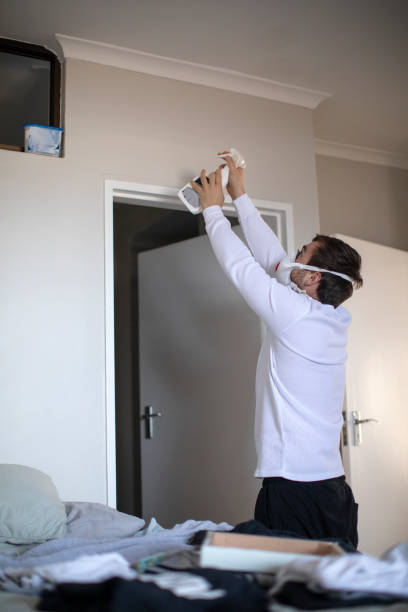 Best Environmental Consulting for Mold Prevention  in Bay Minette, AL