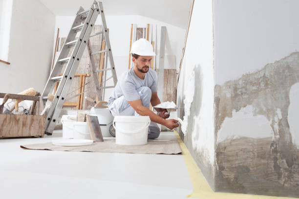 Best Mold Removal for HVAC Installations  in Bay Minette, AL