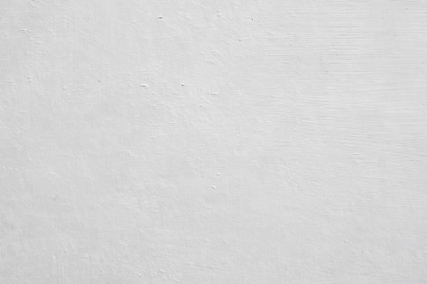 Bay Minette, AL Mold Removal Company